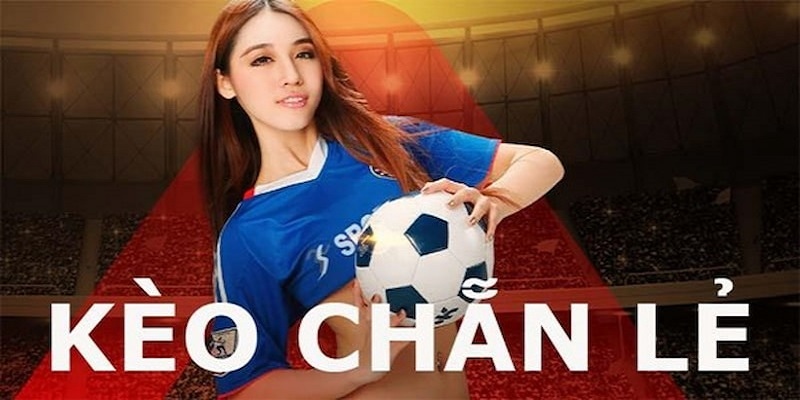 Bắt kèo chẵn lẻ cực đơn giản cho người chơi mới