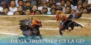 Trực tiếp đá gà C3